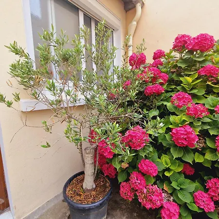 Coeur Des Sables, 100m De La Apartament *