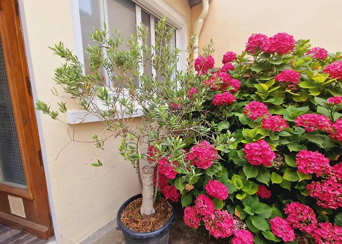 Coeur Des Sables, 100m De La Apartament *